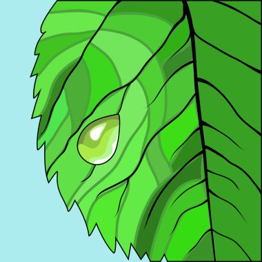 bir damla ile ağaç yaprağı