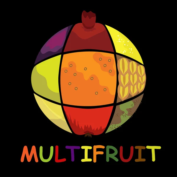 Мультифрукты, собранные из ломтиков различных фруктов — стоковый вектор