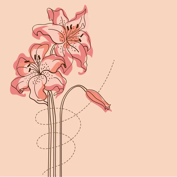 Flores de lirio — Archivo Imágenes Vectoriales