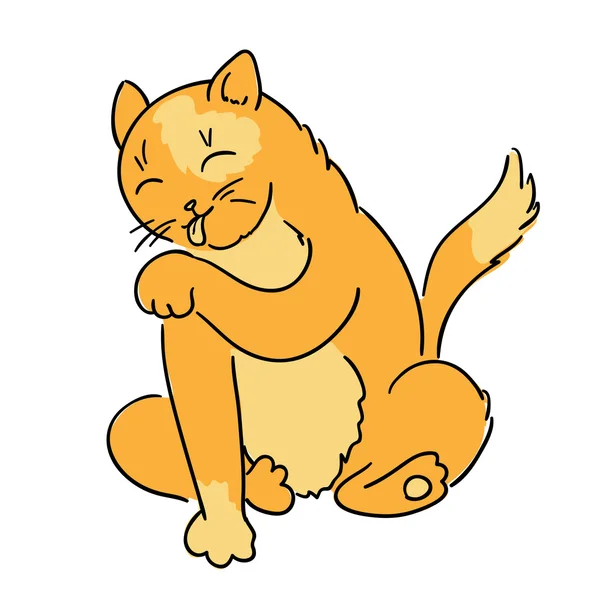 猫は足を舐める — ストックベクタ