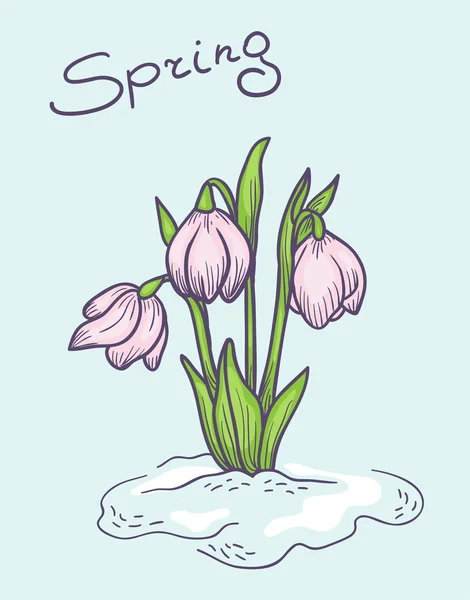 Spring flowers on a thawed patch — Stock Vector