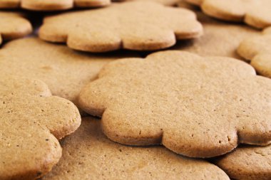 Zencefilli kurabiyeler