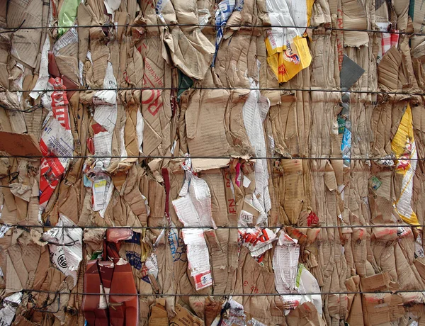 Cardboard waste — Stock Photo, Image