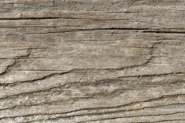 doku eski yönetim kurulu