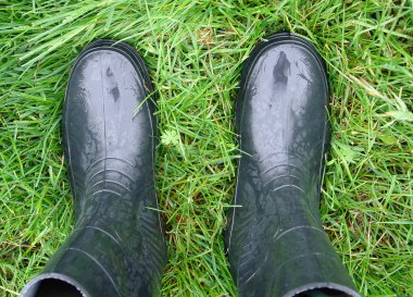 çimenlerin üzerinde iki gumboots