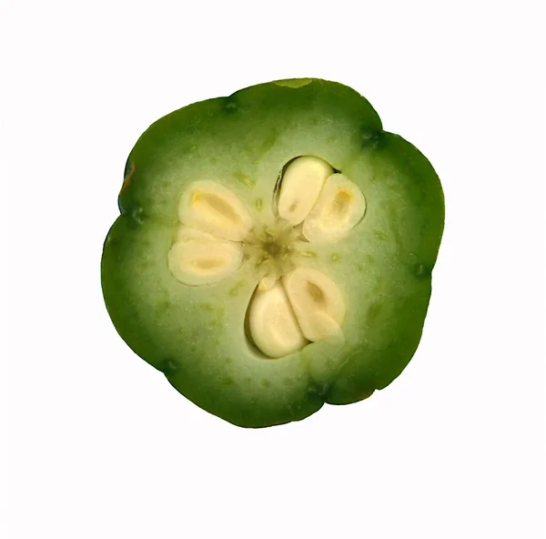 Die Frucht Der Iris Mit Samen Einem Abschnitt — Stockfoto