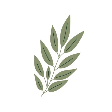 Ev dekorasyonu için Noel ağacı dalı, bayram düzenlemesi mevsimlik tebrik kartı, davetiye ve pankart için minimalist vektör çizimi