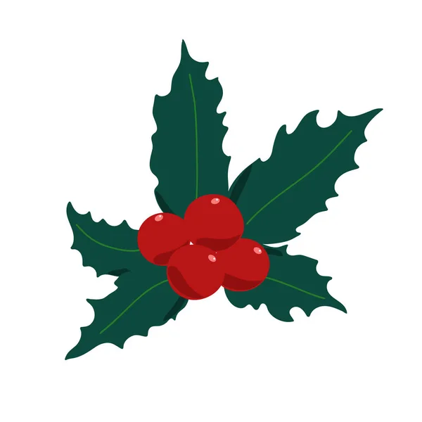 Holly Rostlina Červené Bobule Listy Tradiční Zimní Svátky Vektorové Ilustrace — Stockový vektor