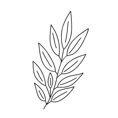 Ev dekorasyonu için yaprakları ve böğürtlenleri olan ana bitki süsleme dalı, bayram düzenlemesi, mevsimlik tebrik kartı için vektör çizimi, davetiye, pankart