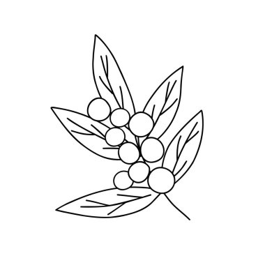 Ev dekorasyonu için yaprakları ve böğürtlenleri olan Noel ana hatları, bayram düzenlemesi, mevsimlik tebrik kartı için vektör ilüstrasyonu, davetiye, pankart