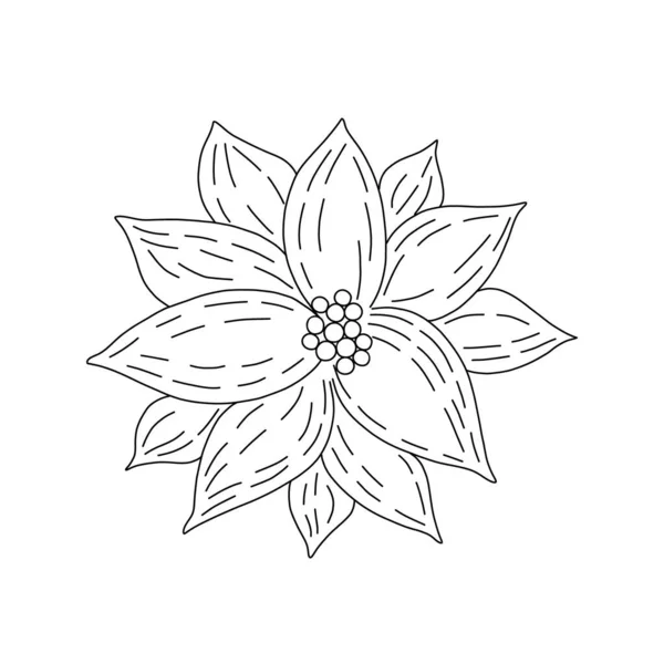 Άνθος Ποϊνσέττια Παραδοσιακό Φυτό Χειμερινών Διακοπών Απλό Περίγραμμα Διανυσματική Απεικόνιση — Διανυσματικό Αρχείο
