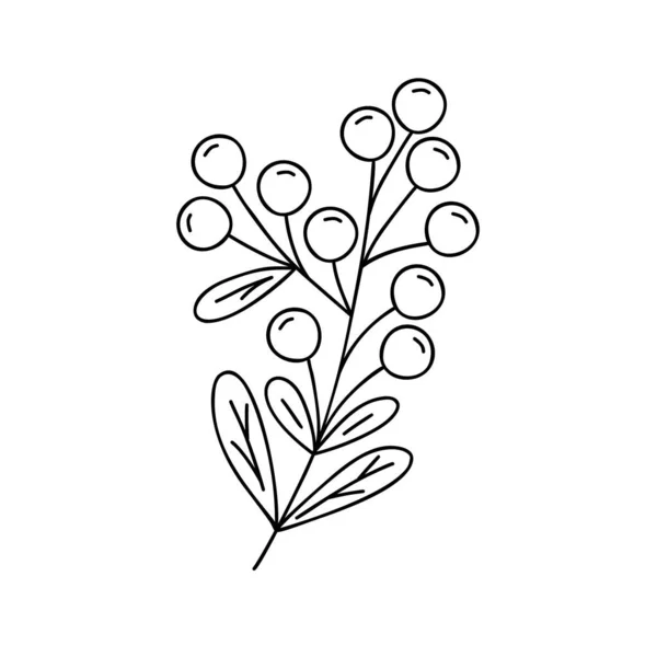 Очертания Растений Декоративная Ветвь Листьями Ягодами Домашнего Декора Рождество Новогодняя — стоковый вектор
