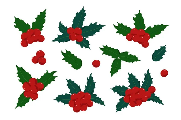 Sada Rostlin Holly Červené Bobule Listy Tradiční Zimní Svátky Vektorové — Stockový vektor