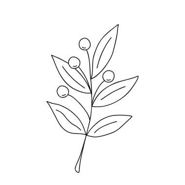 Outline plant decorative branch with leaves and berries for home decor, Christmas, New Year festive holiday arrangement, vector illustration for seasonal greeting card, invitation, banner