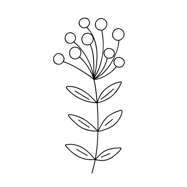 Outline Plant Decorative Branch Leaves Berries Home Decor Christmas New — Image vectorielle