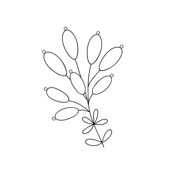 Outline Plant Decorative Branch Leaves Berries Home Decor Christmas New — Wektor stockowy