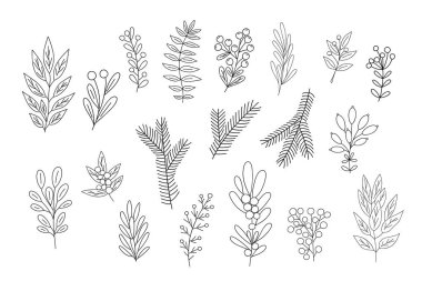 Ev dekorasyonu, Noel, yeni yıl bayramı düzenlemesi, mevsimlik tebrik kartı, davetiye ve pankart için vektör çizimi, ev dekorasyonu ve böğürtlenli ana hatlar