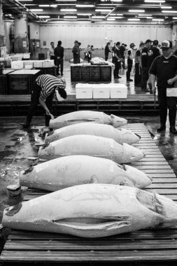 Tsukiji pazarı Tokyo'da