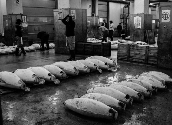 Tsukiji pazarı Tokyo'da