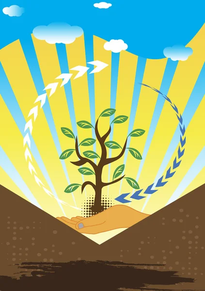 Afforestation — Stock Vector