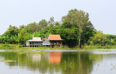 Nehir kenarındaki tipik kır evi, Güney Vietnam