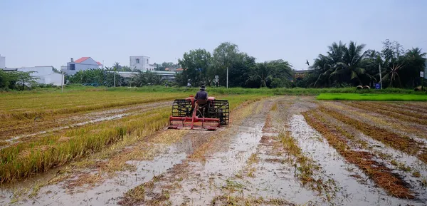 Boeren werken in een rijst gebied met trekker in vietnam — Stockfoto
