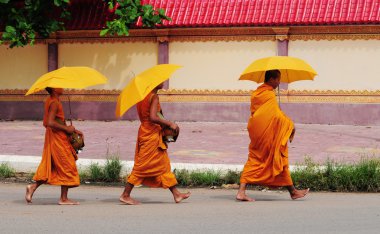 Khmer genç rahipler sabah yürüyüş