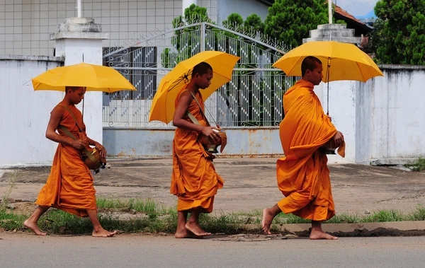 Khmer genç rahipler sabah yürüyüş