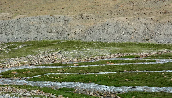 Bergslandskapet Ladakh Norra Indien Ladakh Karg Men Ändå Vacker Region — Stockfoto