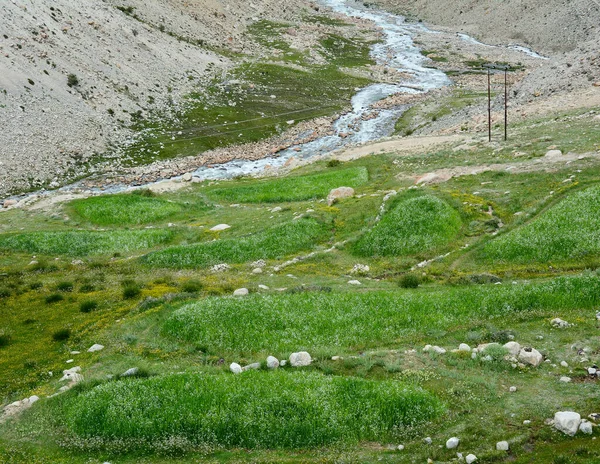 Paisagem Montanhosa Ladakh Norte Índia Ladakh Uma Região Estéril Mas — Fotografia de Stock