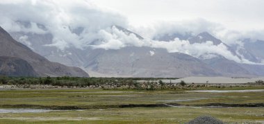 Kuzey Hindistan, Ladakh 'ın dağ manzarası. Ladakh, Jammu ve Kashmir eyaletinin çorak ama güzel bir bölgesidir..