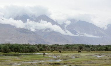 Kuzey Hindistan, Ladakh 'ın dağ manzarası. Ladakh, Jammu ve Kashmir eyaletinin çorak ama güzel bir bölgesidir..