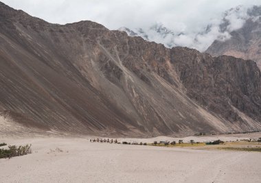 Kuzey Hindistan, Ladakh 'ın dağ manzarası. Ladakh, Jammu ve Kashmir eyaletinin çorak ama güzel bir bölgesidir..
