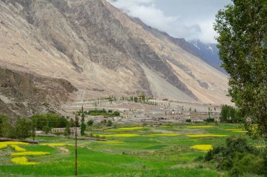 Kuzey Hindistan, Ladakh 'ın dağ manzarası. Ladakh, Jammu ve Kashmir eyaletinin çorak ama güzel bir bölgesidir..