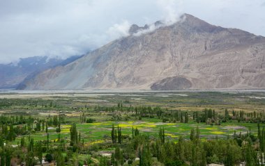 Kuzey Hindistan, Ladakh 'ın dağ manzarası. Ladakh, Jammu ve Kashmir eyaletinin çorak ama güzel bir bölgesidir..