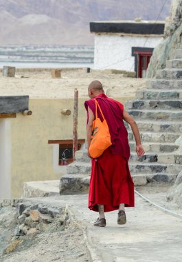 Ladakh, Hindistan - 18 Haziran 2015. Ladakh, Hindistan 'daki Tibet manastırında genç bir keşiş..