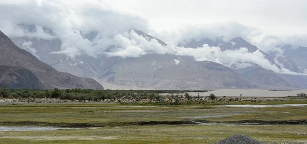 Berglandschap Van Ladakh Noord India Ladakh Een Dorre Maar Mooie — Stockfoto