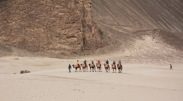 Ladakh, Hindistan - 18 Haziran 2015. Nubra vadisinde deveye binen turistler. Vadi uzun kum tepeleri ve deve biniciliği deneyimiyle ünlüdür..