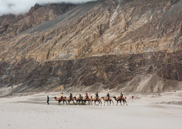 在努布拉山谷骑骆驼的游客 这个山谷以其漫长的沙丘和骆驼骑行经验而闻名 — 图库照片