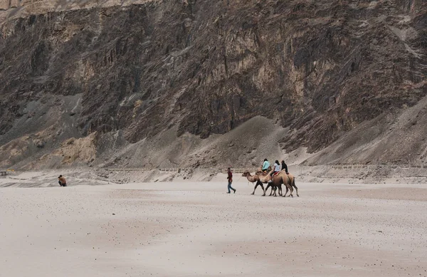 Nubra Vadisinde Deveye Binen Turistler Vadi Uzun Kum Tepeleri Deve — Stok fotoğraf