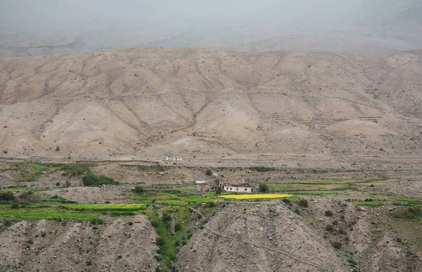 Paisaje Montañoso Ladakh Norte India Ladakh Una Región Estéril Pero —  Fotos de Stock