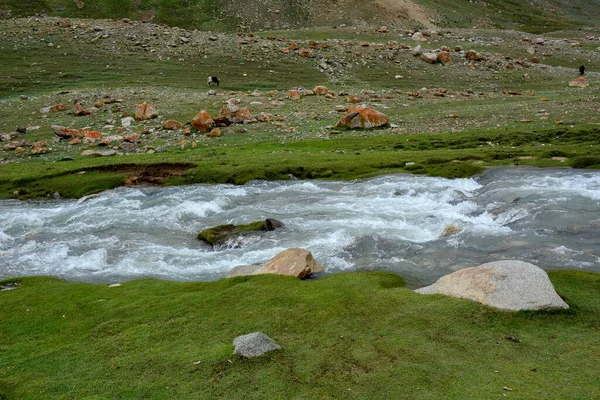 Górska Sceneria Ladakh Północne Indie Ladakh Jest Jałowy Ale Piękny — Zdjęcie stockowe