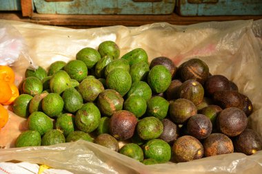 Taunggyi, Myanmar 'daki kırsal pazarda avokado meyveleri satıyor..