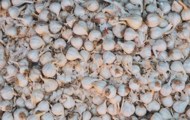 Taunggyi, Myanmar 'daki kırsal pazarda sarımsak satıyor..