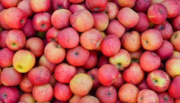 Venda Maçãs Frescas Mercado Rural Taunggyi Mianmar — Fotografia de Stock