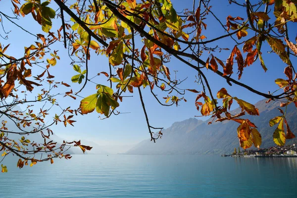 Schöne Landschaft Rund Den Brienzersee Schweiz Der See Ist Von — Stockfoto