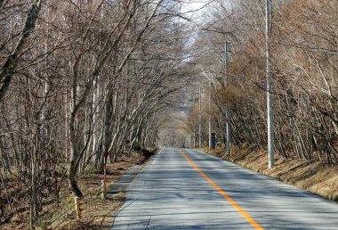Sonbaharda Japonya 'nın Nikko şehrinde dağ yolunda. Nikko dağlar, göller, şelaleler ve yürüyüş yolları gibi güzel manzaralar sunuyor.