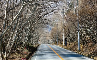 Sonbaharda Japonya 'nın Nikko şehrinde dağ yolunda. Nikko dağlar, göller, şelaleler ve yürüyüş yolları gibi güzel manzaralar sunuyor.