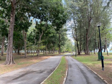 Singapur, Changi 'deki sahil parkı. Dört doğal rezervi, 350 'den fazla parkı olan Singapur, yeşil alanlardan oluşan bir hazine..