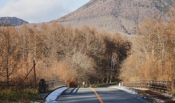 Camino Montaña Otoño Nikko Japón Nikko Ofrece Hermosos Paisajes Como — Foto de Stock